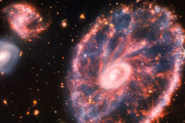 Cropped image of the Cartwheel Galaxy as seen by the James Webb Space Telescope. Credits: NASA, ESA, CSA, STScI.