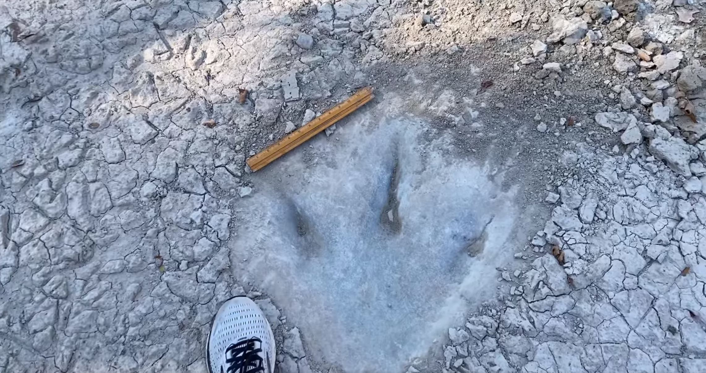 A screenshot from the video showing the massive Dinosaur Tracks. Image Credit: Dinosaur Valley State Park - Friends.