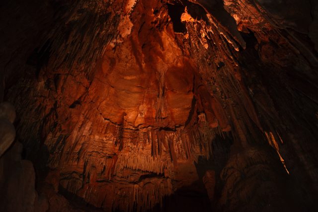 King Soloman cave in Mole Creek, Tasmania. Depositphotos.