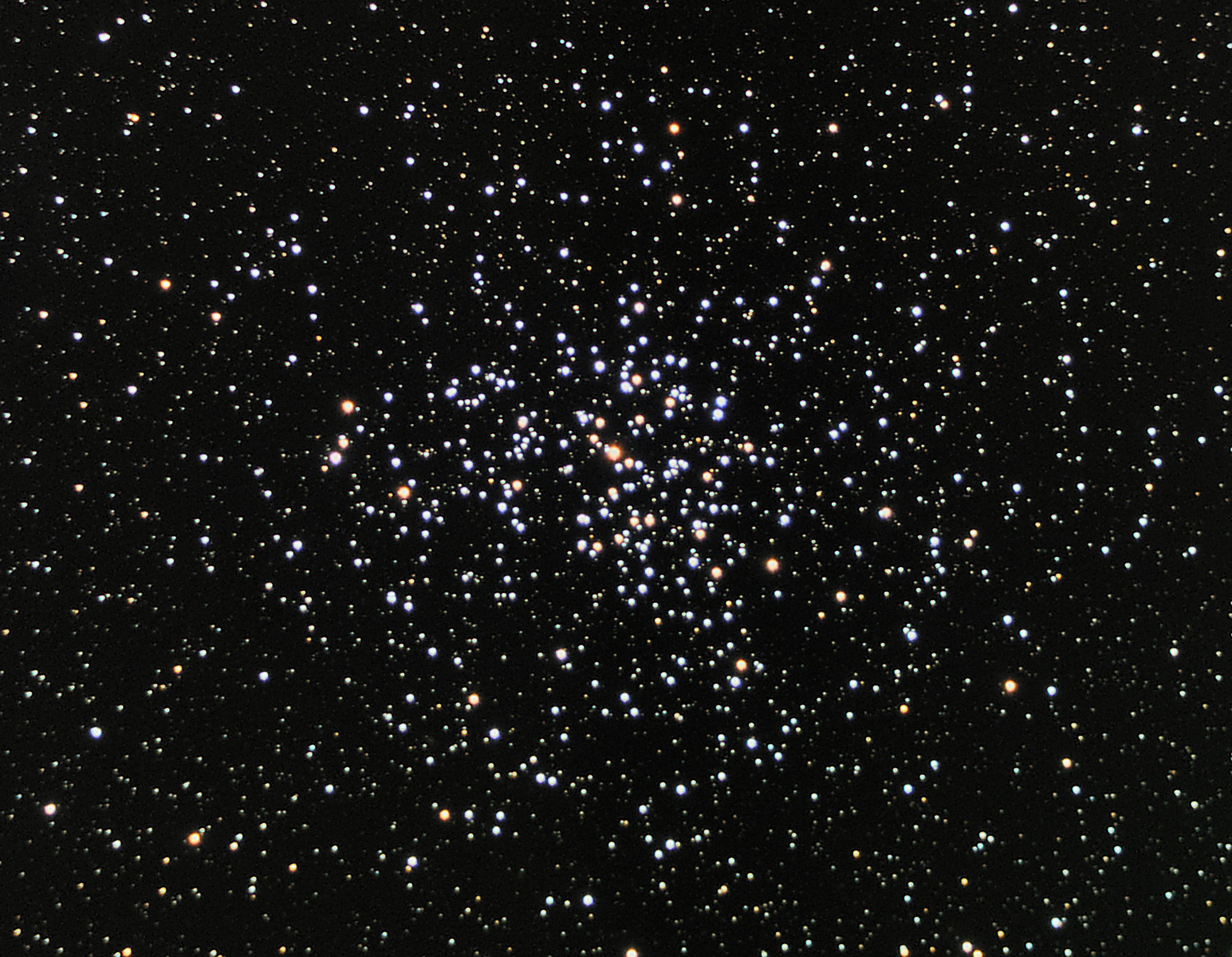 Open cluster Messier 37 in Auriga. Image Credit: Wikimedia Commons.
