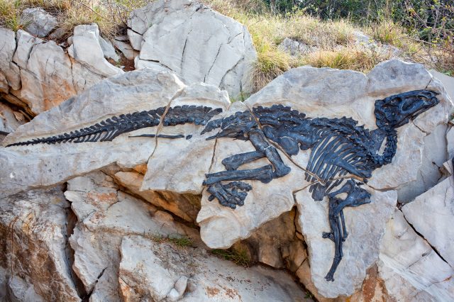 Photo of Dinosauro Antonio, Tethyshadros insularis. Depositphotos.