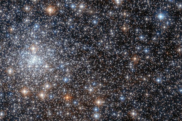 A photograph of globular cluster NGC 6558, taken by the Hubble Space Telescope. Image Credit: ESA/Hubble & NASA, R. Cohen.