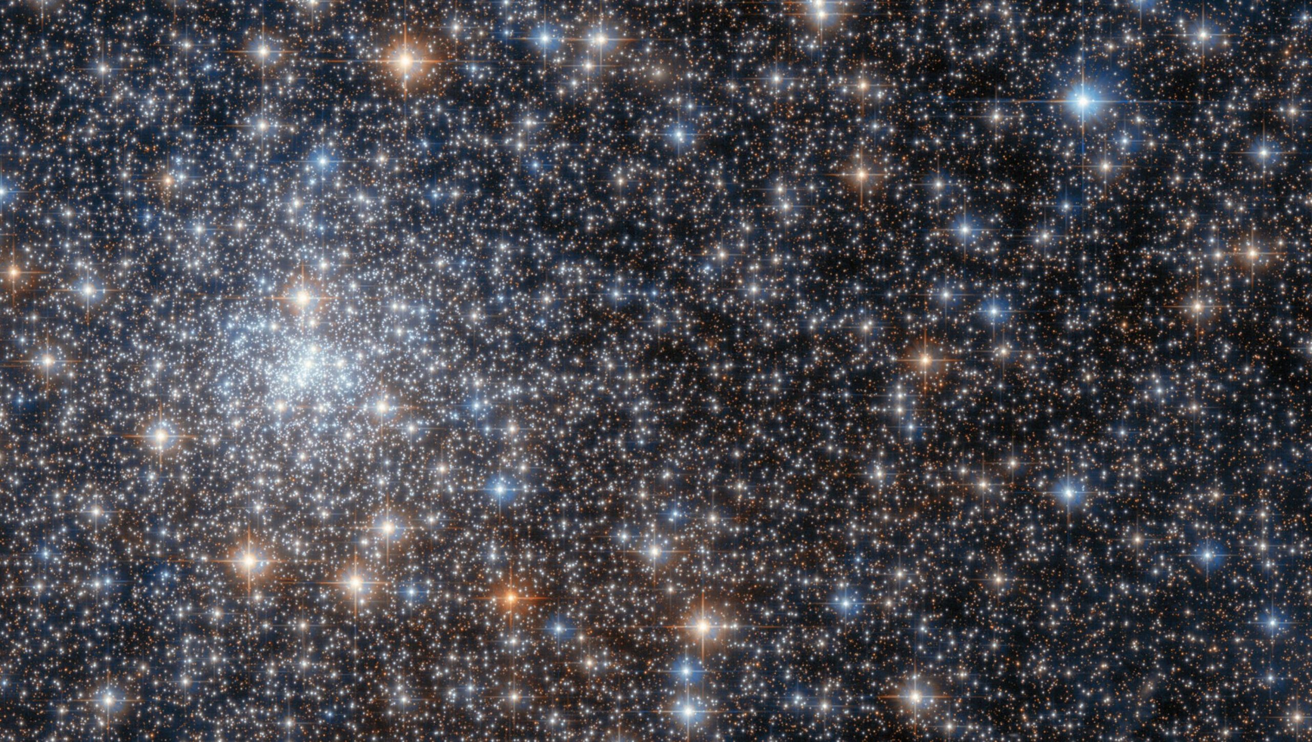 A photograph of globular cluster NGC 6558, taken by the Hubble Space Telescope. Image Credit: ESA/Hubble & NASA, R. Cohen.