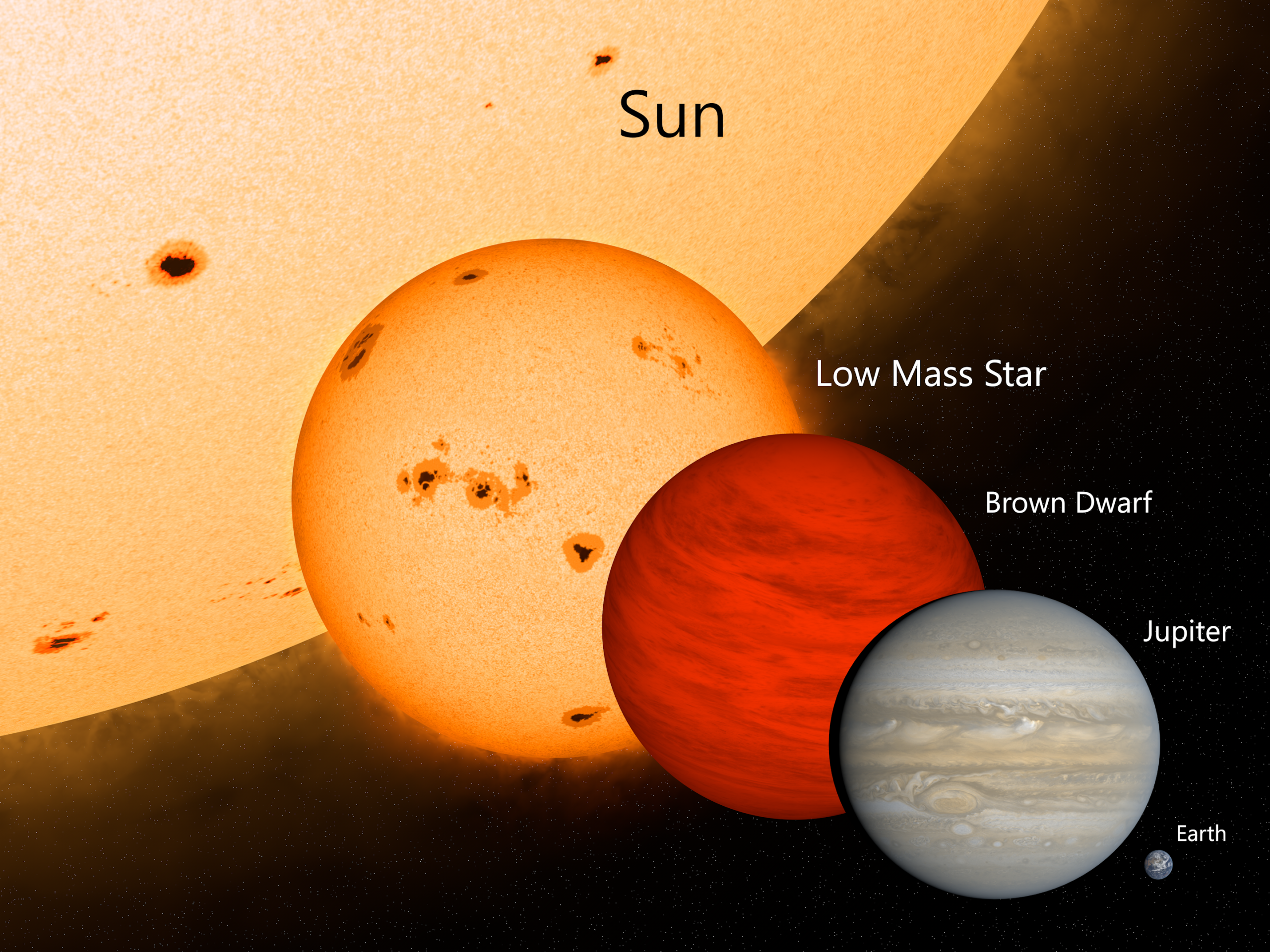 Although brown dwarfs tend to be slightly larger (15–20%) than Jupiter, they are still up to 80 times more massive due to their higher density. The shows a comparison between the Sun, a low mass star, a Brown Dwarf, Jupiter, and our planet. Image Credit" Wikimedia Commons - Planetkid32.