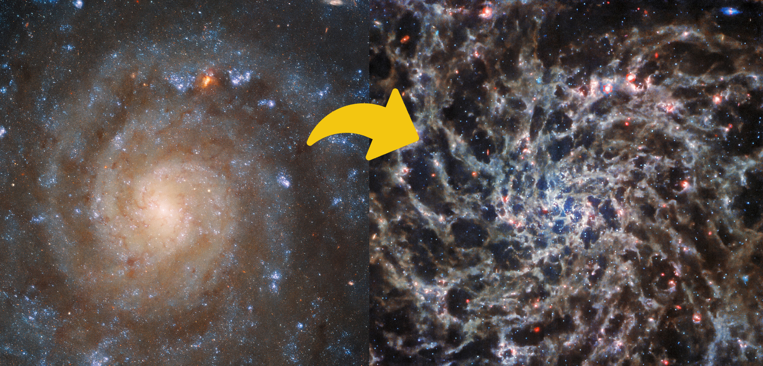 Hubble and James Webb view of IC 5332. Image Credit: NASA/ESA.