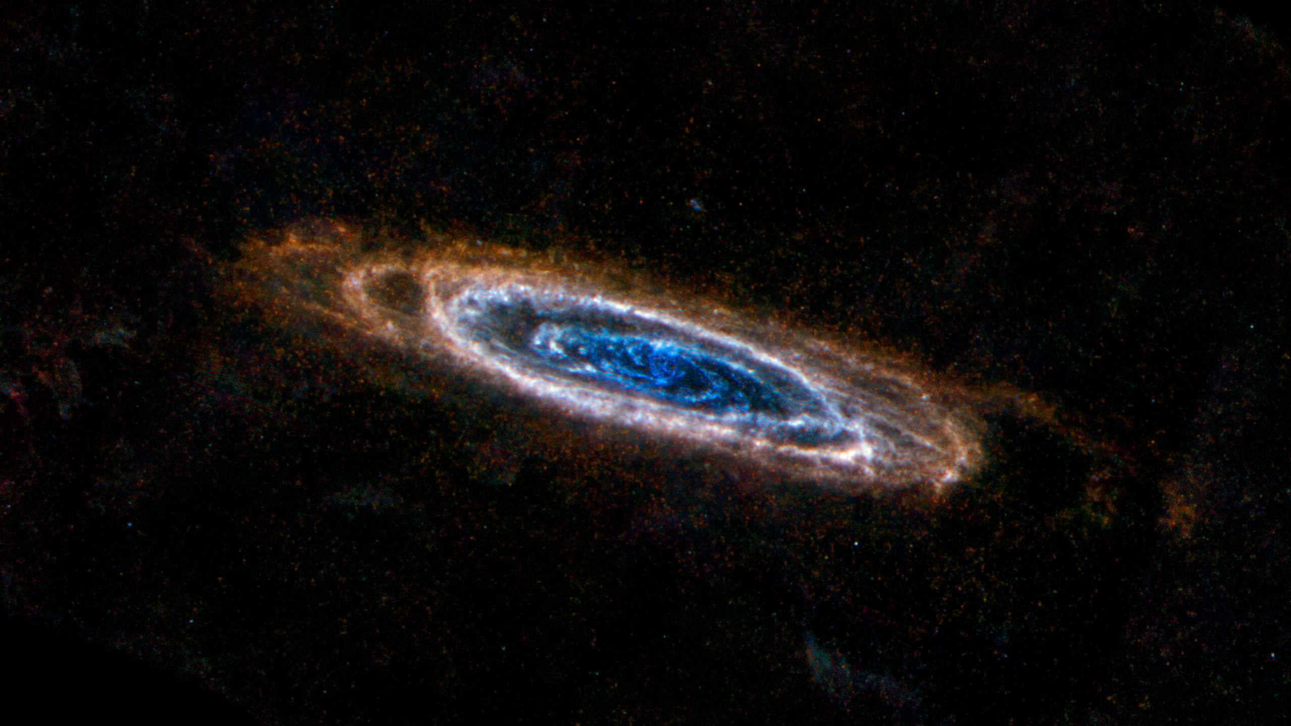 Using the Herschel Space Observatory, this image shows the swirls of dust surrounding the Andromeda galaxy in colorful detail. Image Credit: ESA/NASA/JPL-Caltech/NHSC.