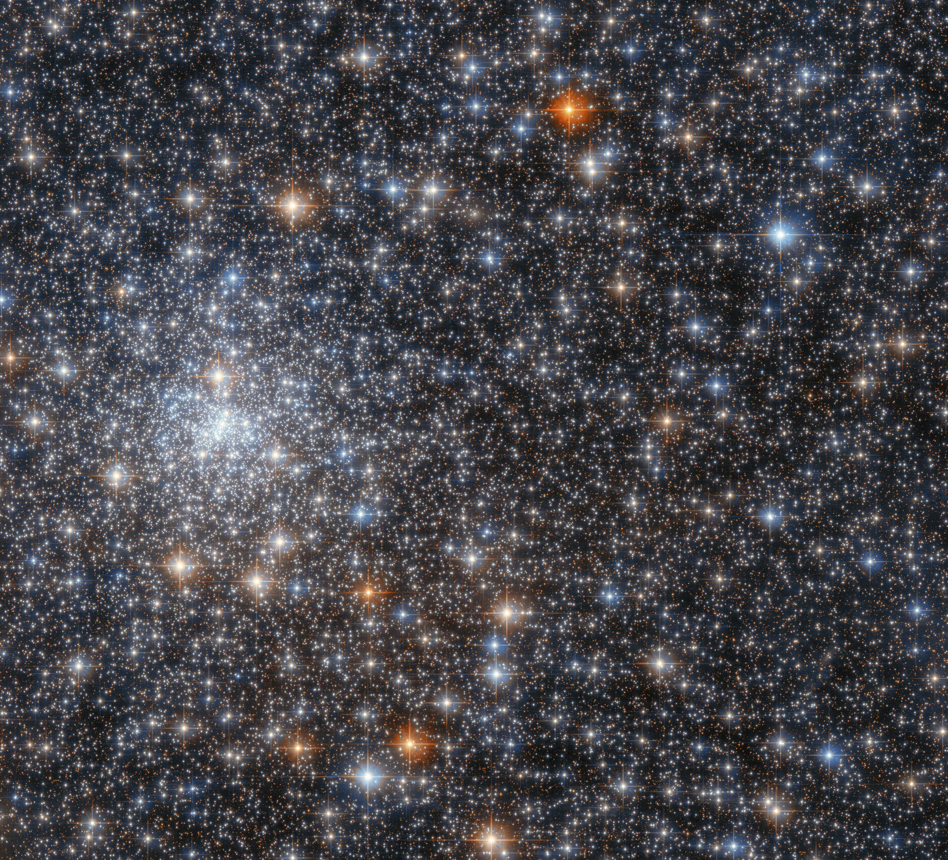 An Advanced Camera for Surveys on the Hubble Space Telescope captured this stunning cluster of stars, NGC 6558. Image Credit: ESA/Hubble & NASA, R. Cohen.