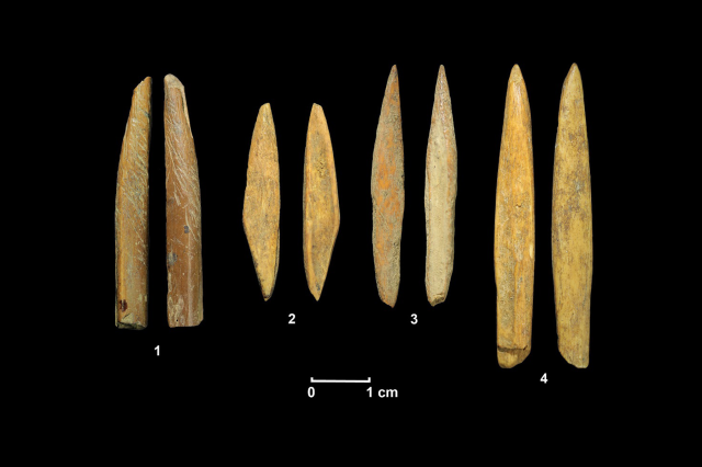 A photograph of the ancient tools discovered in Sri Lanka. Image Credit: Griffith University.