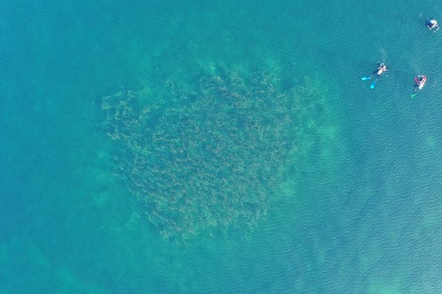 Aerial view of the sunken structures. Image Credit: https://archaeologie.tg.ch.