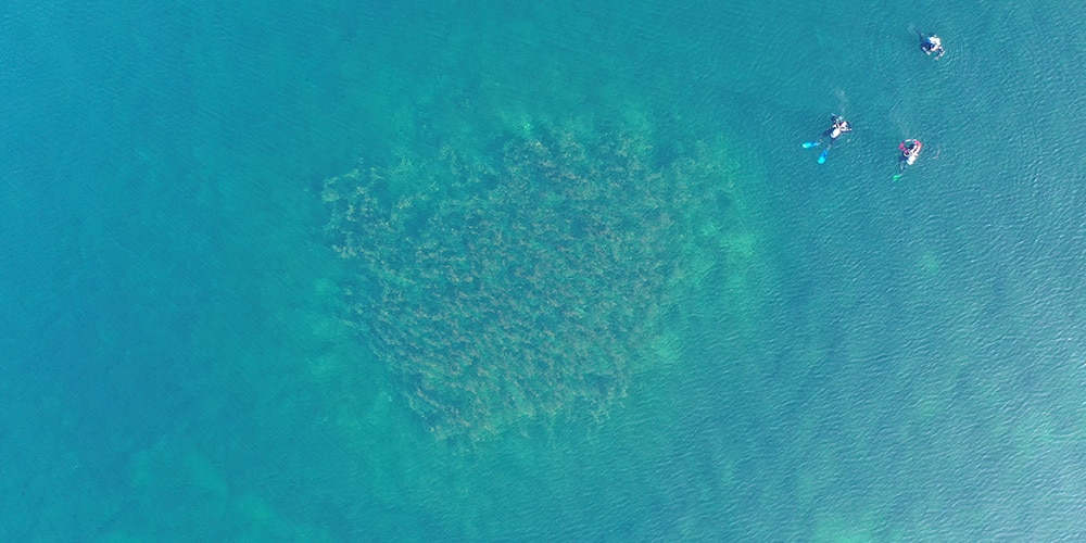 Aerial view of the sunken structures. Image Credit: https://archaeologie.tg.ch.