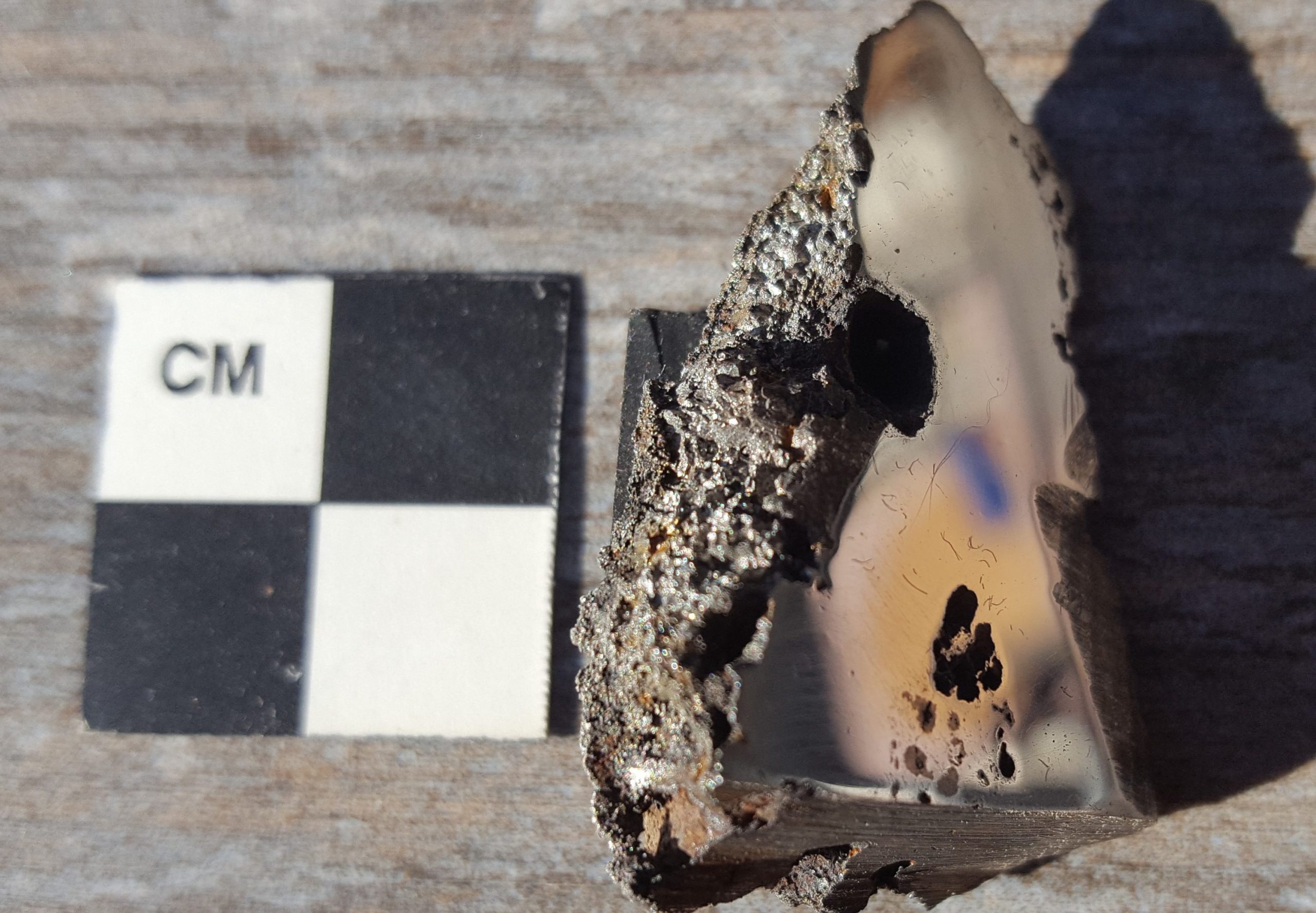 A slice of the El Ali meteorite. Image Credit: University of Alberta.
