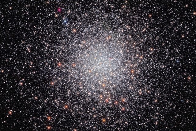 A view of NGC 6440 by Hubble. Image credit: NASA, ESA, C. Pallanca and F. Ferraro (Universits Di Bologna), and M. van Kerkwijk (University of Toronto); Processing: G. Kober (NASA/Catholic University of America).