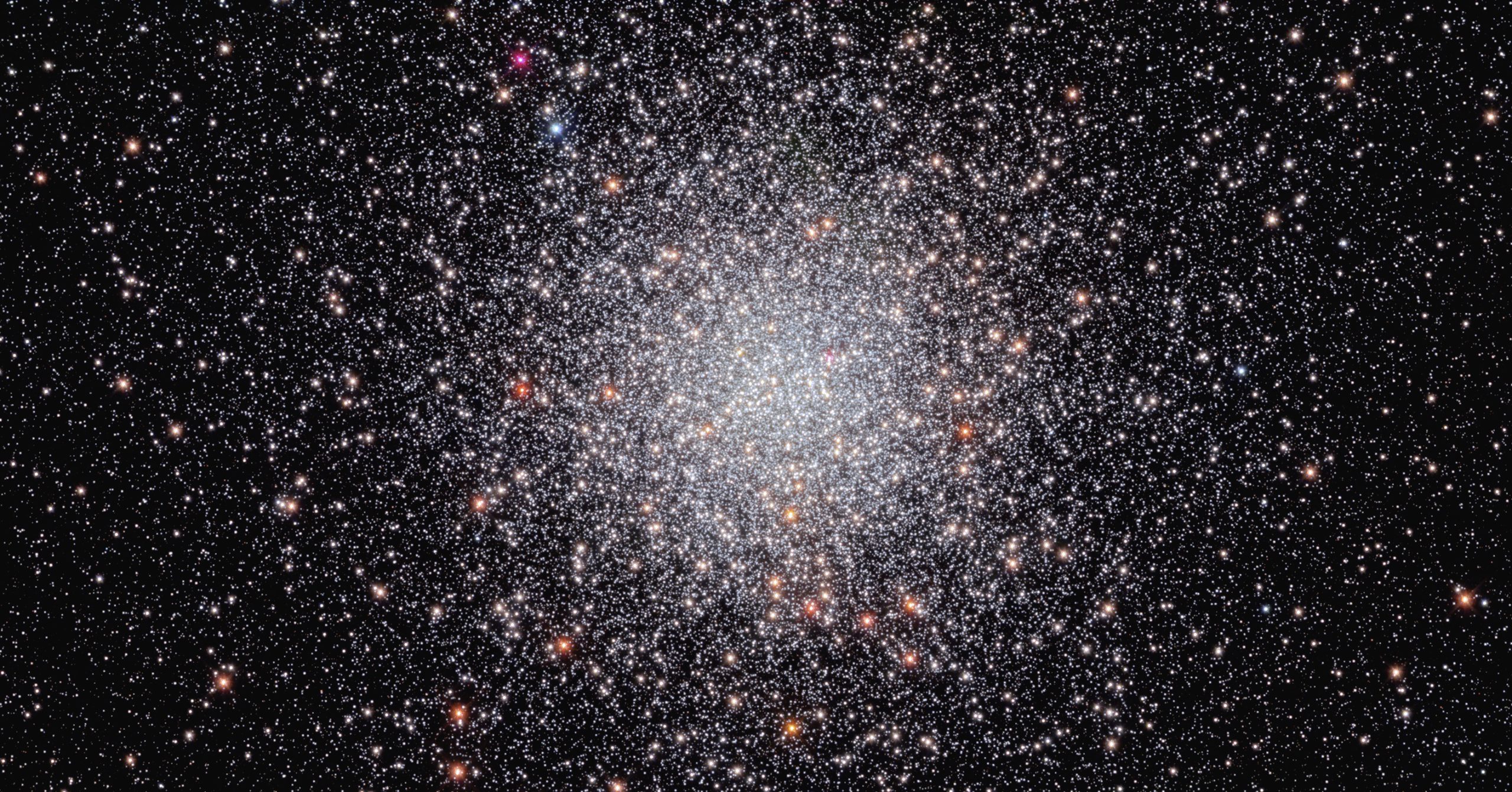 A view of NGC 6440 by Hubble. Image credit: NASA, ESA, C. Pallanca and F. Ferraro (Universits Di Bologna), and M. van Kerkwijk (University of Toronto); Processing: G. Kober (NASA/Catholic University of America).
