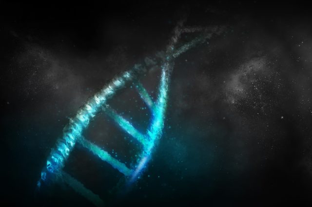 An illustration of DNA. YAYIMAGES.