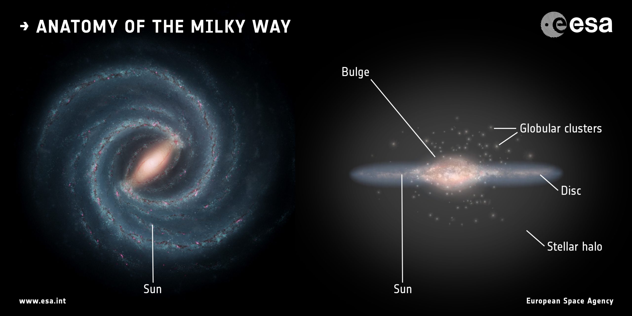 The anatomy of the Milky Way Galaxy showing its halo and stars. Image Credit: ESA/ATG medialab.
