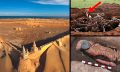 Bizarre discoveries