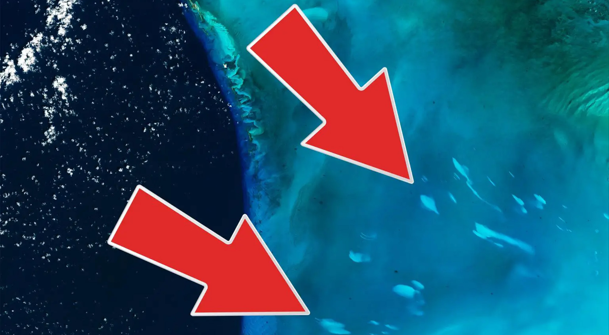 A satellite images showing the massive white patches near the Bahamas. Image Credit: Landsat 8.