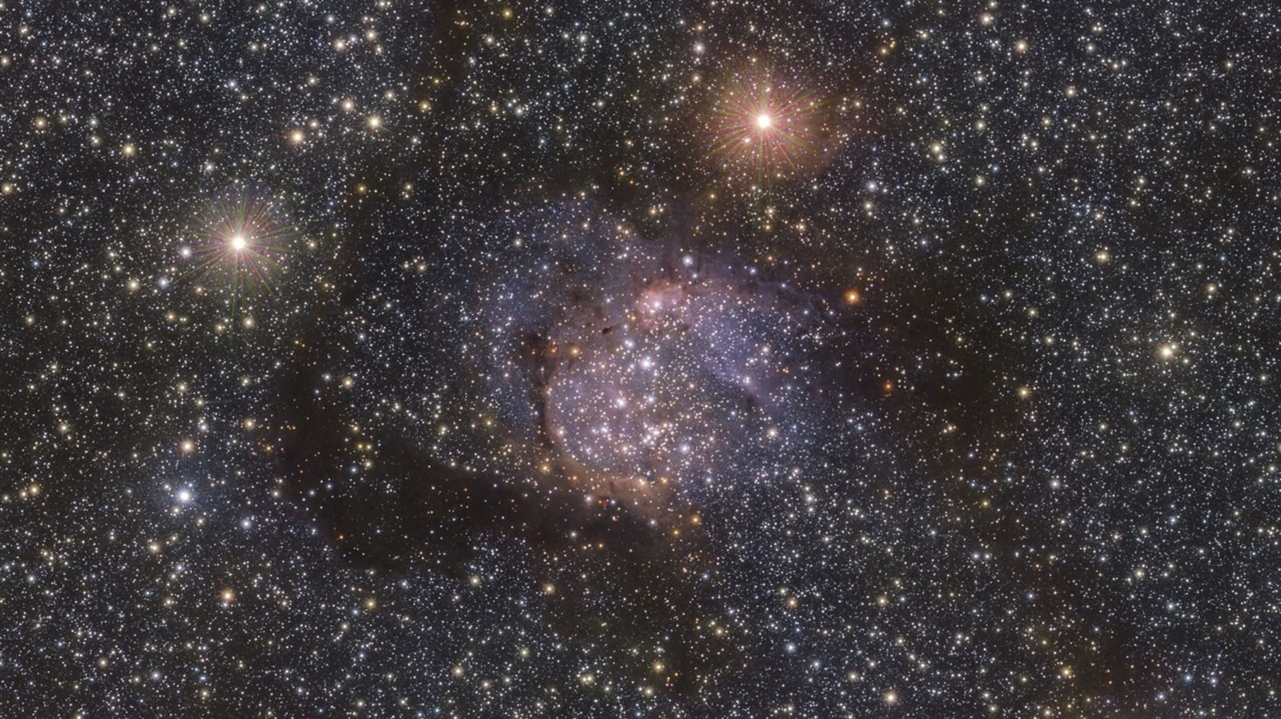 A cropped photograph of Sh2-54. Image Credit: ESO/VVVX.