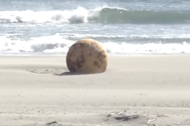A screenshot from a video of the Sphere on a beach in Japan. Credit: NHK News.