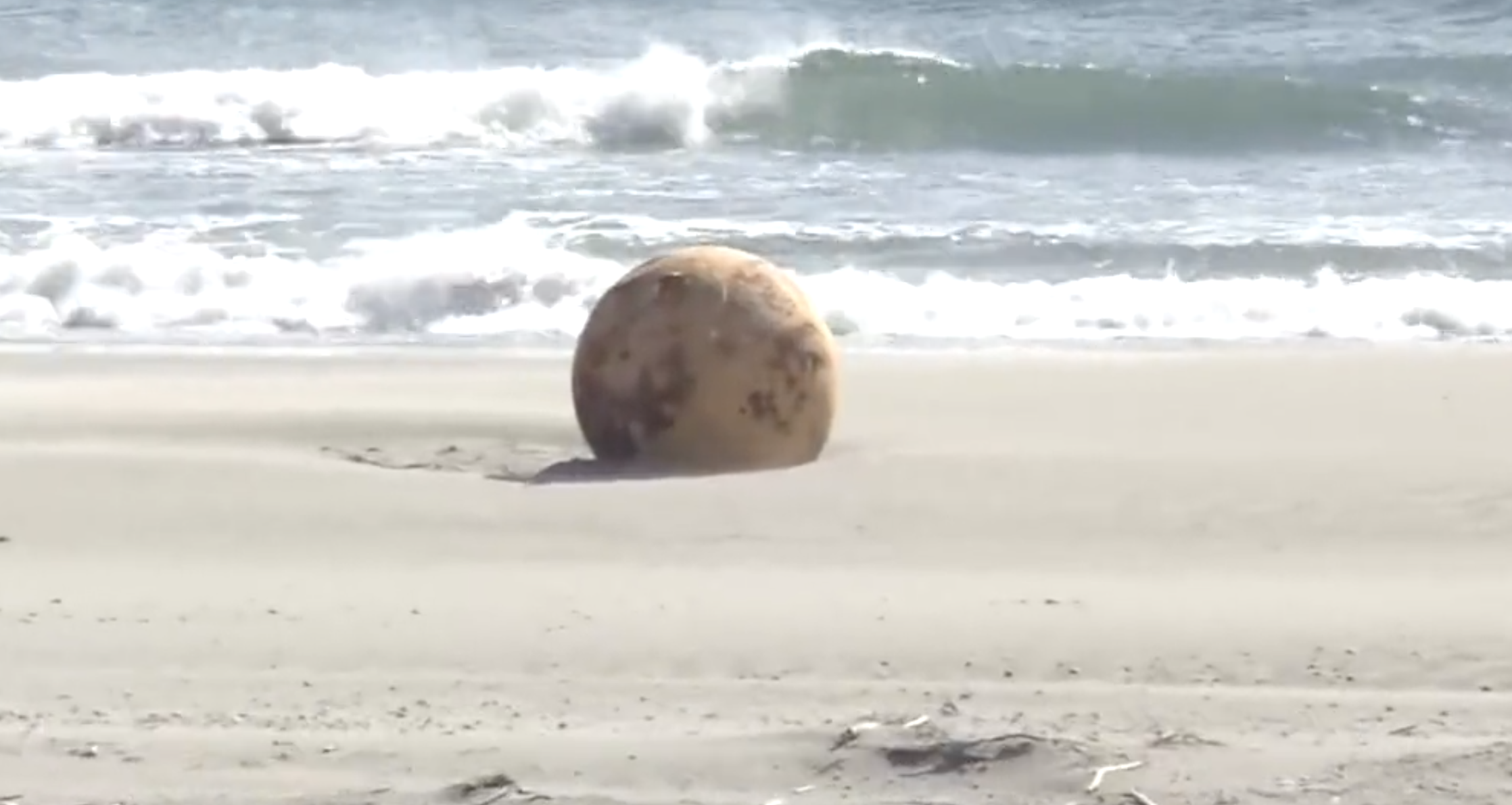A screenshot from a video of the Sphere on a beach in Japan. Credit: NHK News.