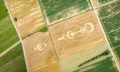 An aerial photograph of Crop Circles. Yayimages.