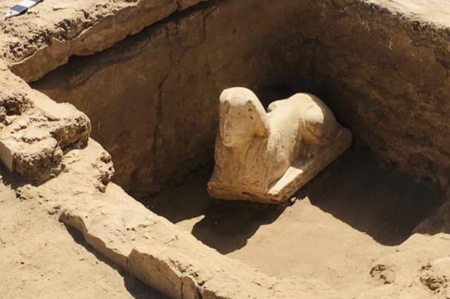 The unearthed Sphinx believed to depict Roman Emperor Claudius. Image Credit: Egyptian Ministry of Antiquities.