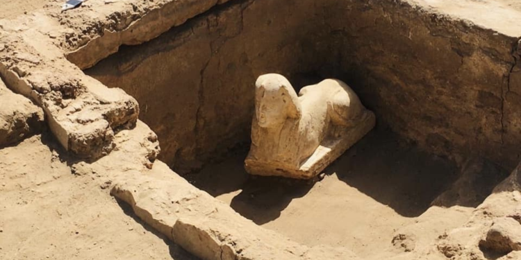 The unearthed Sphinx believed to depict Roman Emperor Claudius. Image Credit: Egyptian Ministry of Antiquities.