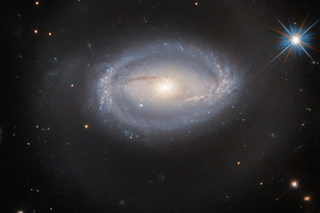 A cropped image showing Z 229-15. Image Credit: ESA/Hubble & NASA, A. Barth, R. Mushotzky.