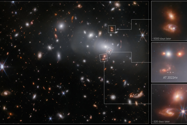 A dark backdrop is studded with stars and galaxies, predominantly exhibiting a reddish hue. In the upper-right corner of the foreground, a vast elliptical galaxy commands attention, encircled by numerous smaller galaxies resembling it in shape. These galaxies radiate a bright core and a soft, milky halo. Distorted images and arcs envelop the larger galaxy. ESA/Webb, NASA & CSA, P. Kelly