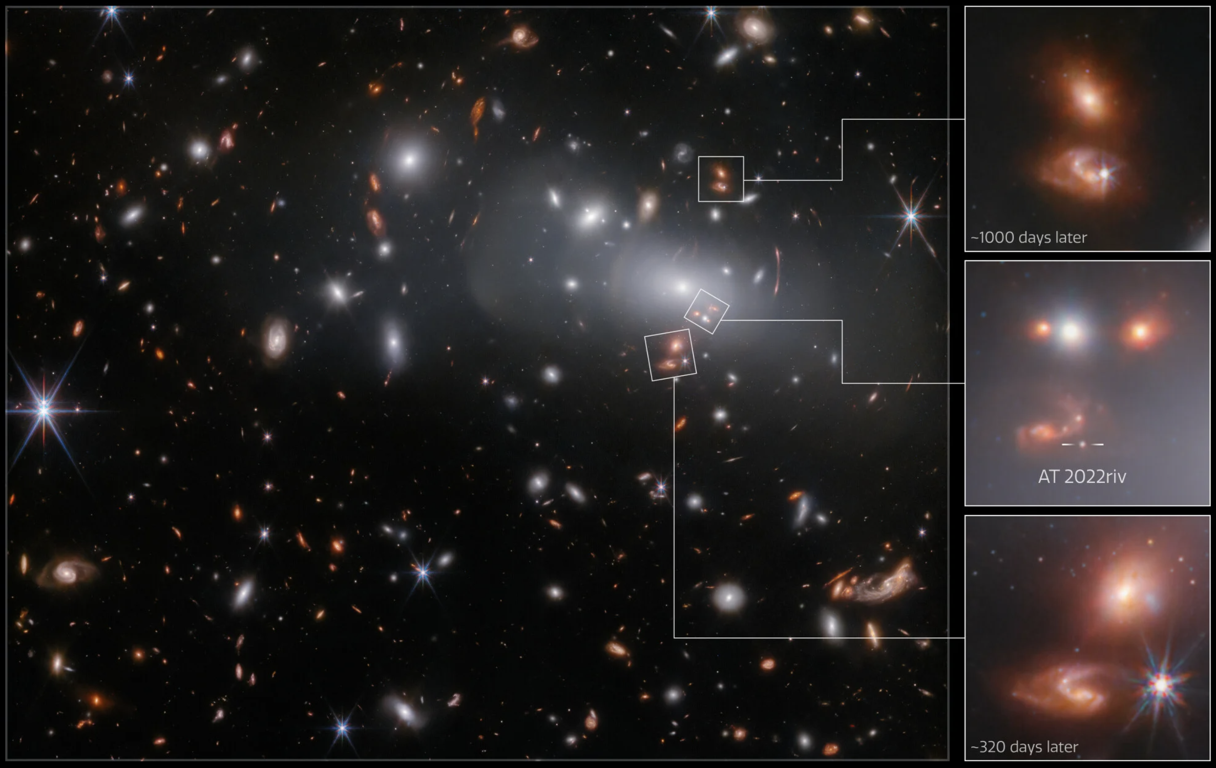 A dark backdrop is studded with stars and galaxies, predominantly exhibiting a reddish hue. In the upper-right corner of the foreground, a vast elliptical galaxy commands attention, encircled by numerous smaller galaxies resembling it in shape. These galaxies radiate a bright core and a soft, milky halo. Distorted images and arcs envelop the larger galaxy. ESA/Webb, NASA & CSA, P. Kelly