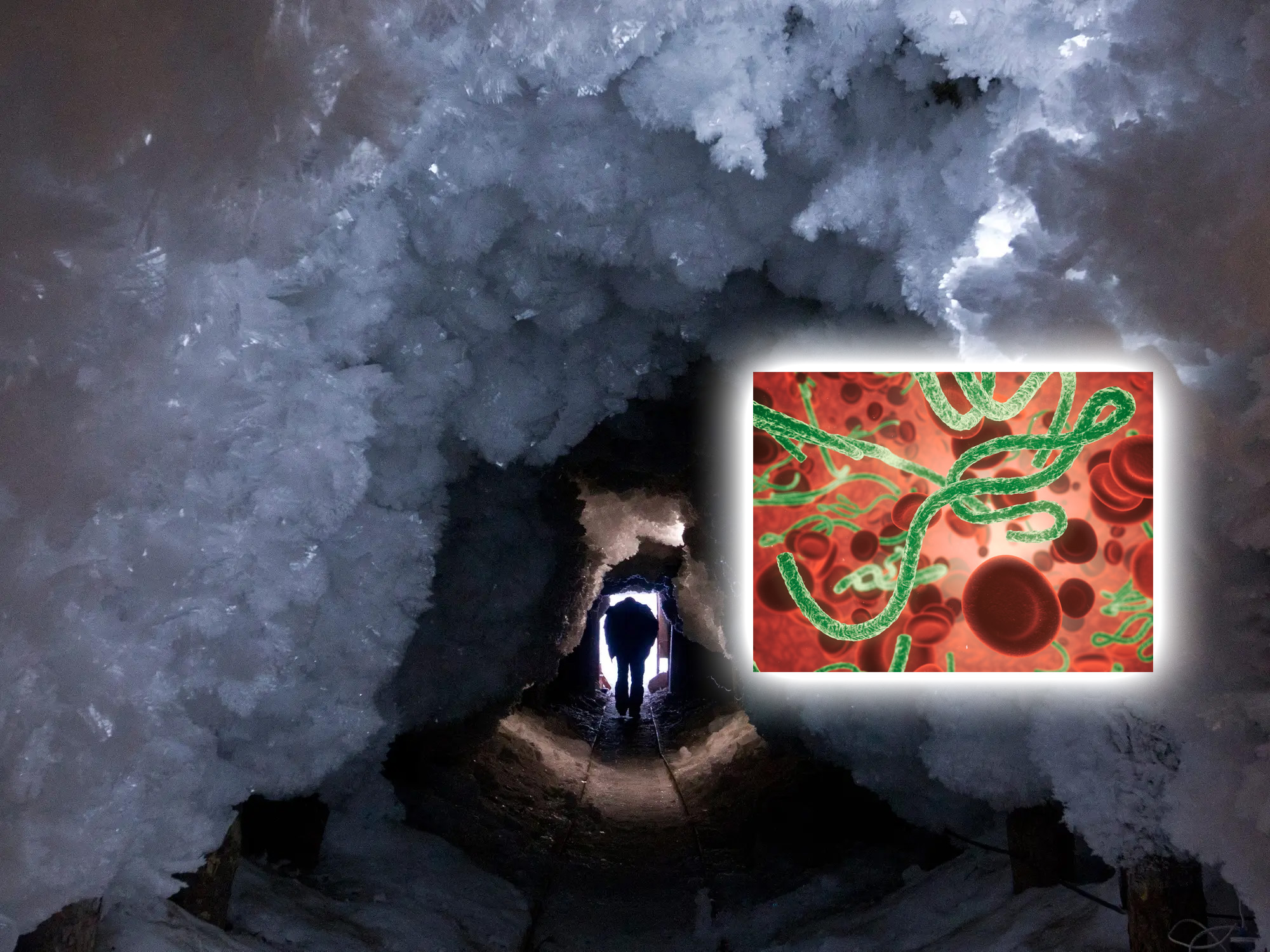 An photograph showing thawing permafrost and an illustration of a virus.