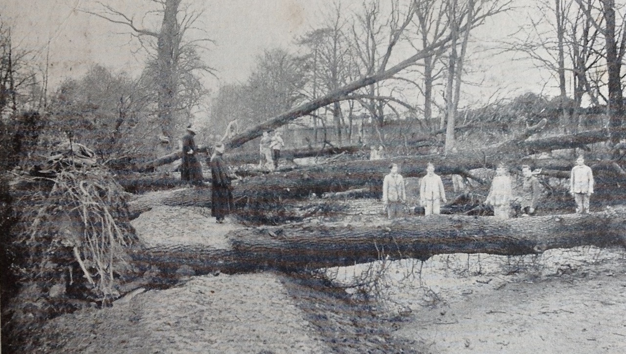 A photograph showing the aftermath of Storm Ulysses