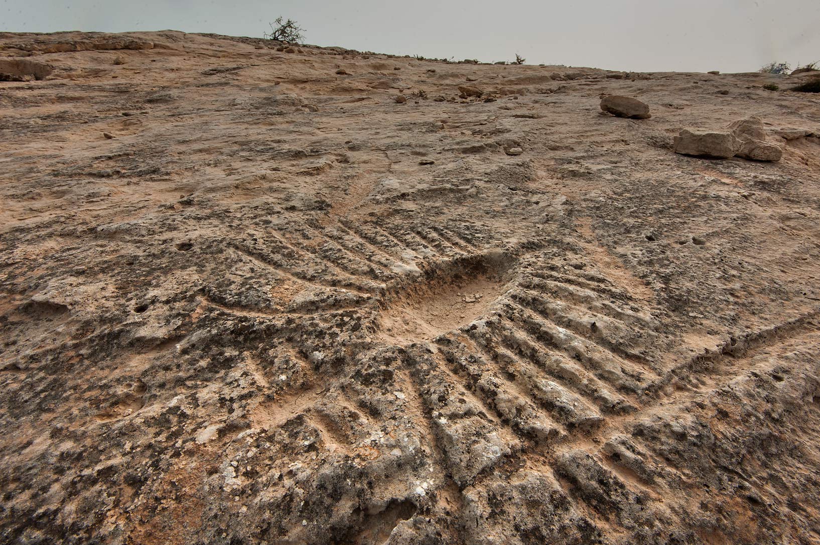 Al Jassasiya carvings Qatar. Image Credit: Alexey Sergeev.