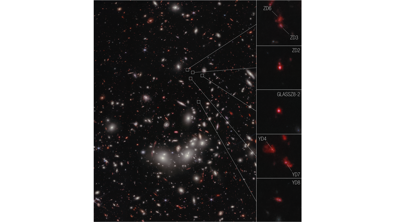 A photograph of the galaxy protocluster. NASA, ESA, CSA, Takahiro Morishita (IPAC)IMAGE PROCESSING: Alyssa Pagan (STScI).