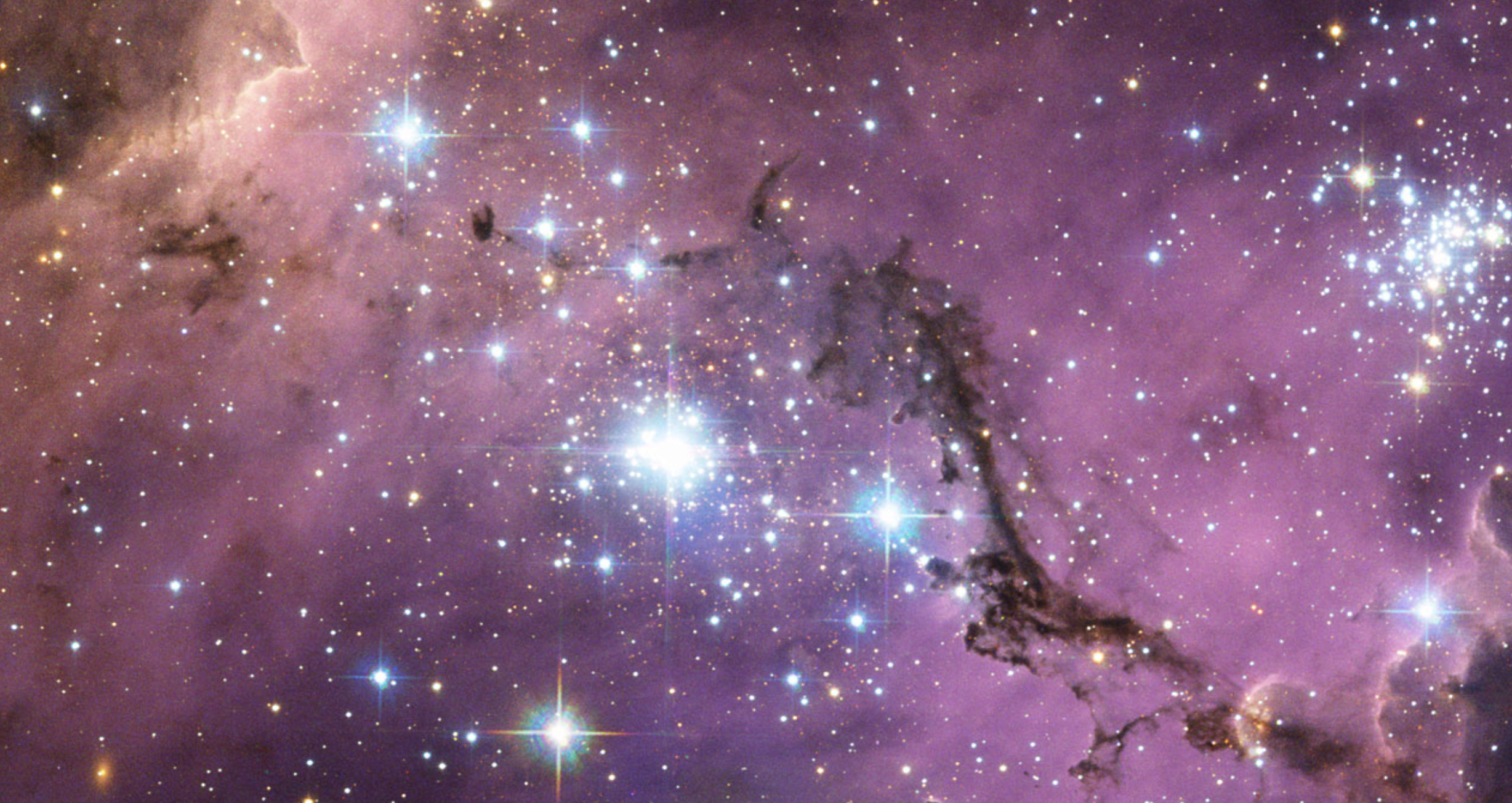 Hubble Image of the Large Magellanic Cloud. ESA/NASA/Hubble.