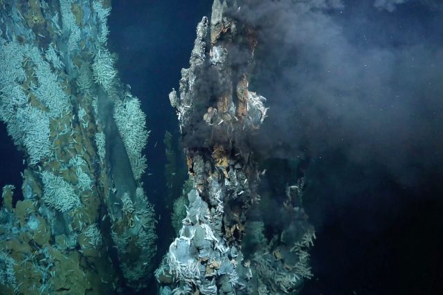 New hydrothermal vent. Schmidt Ocean Institute.