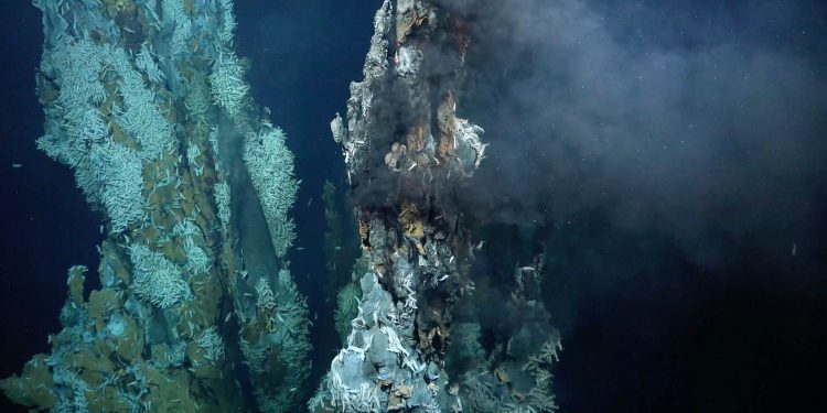 New hydrothermal vent. Schmidt Ocean Institute.