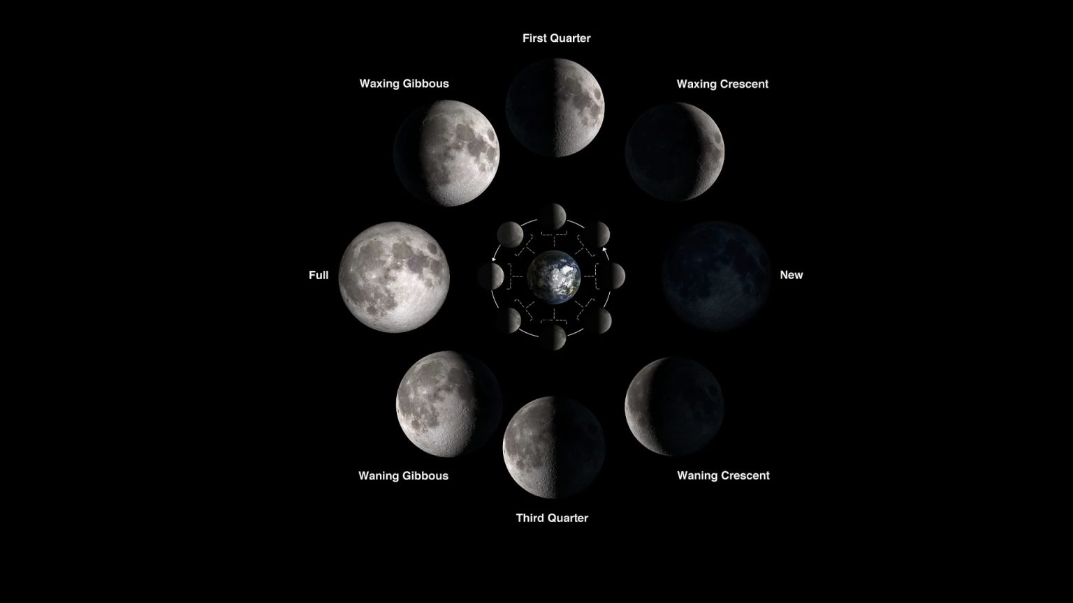 The Phases Of The Moon Explained Curiosmos   Phases Of The Moon 1536x864 