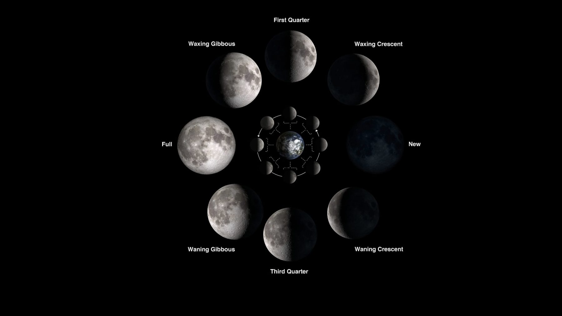 The Phases of The Moon Explained — Curiosmos