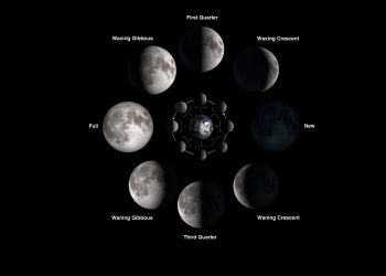 An illustration showing the phases of the Moon.