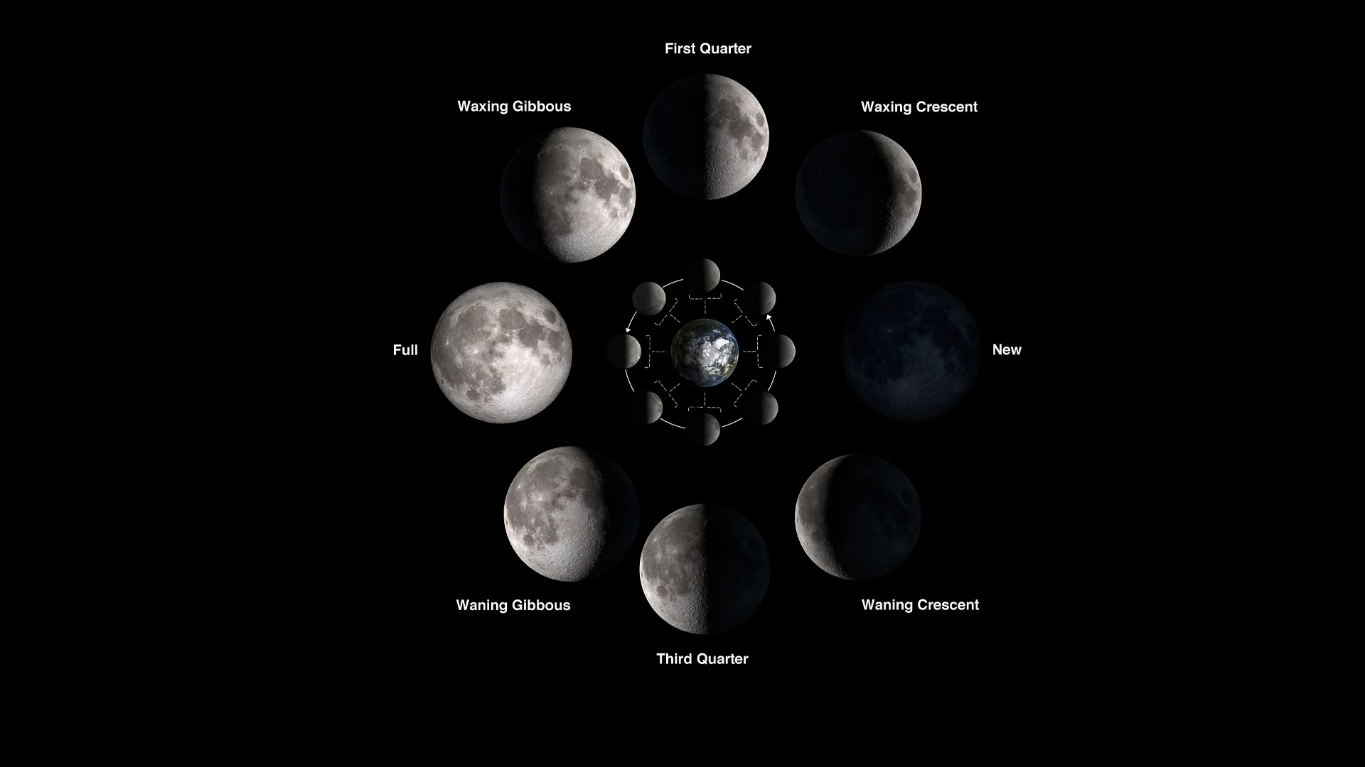 An illustration showing the phases of the Moon.