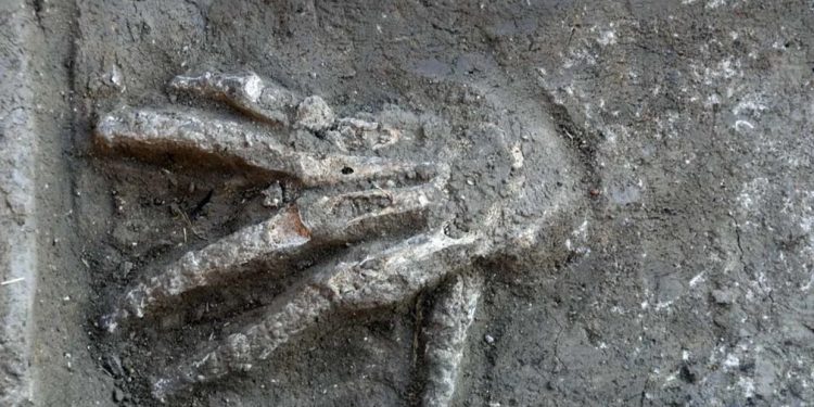 A photograph showing a severed hand in an ancient Egyptian pit. Image Credit: Axel Krause.