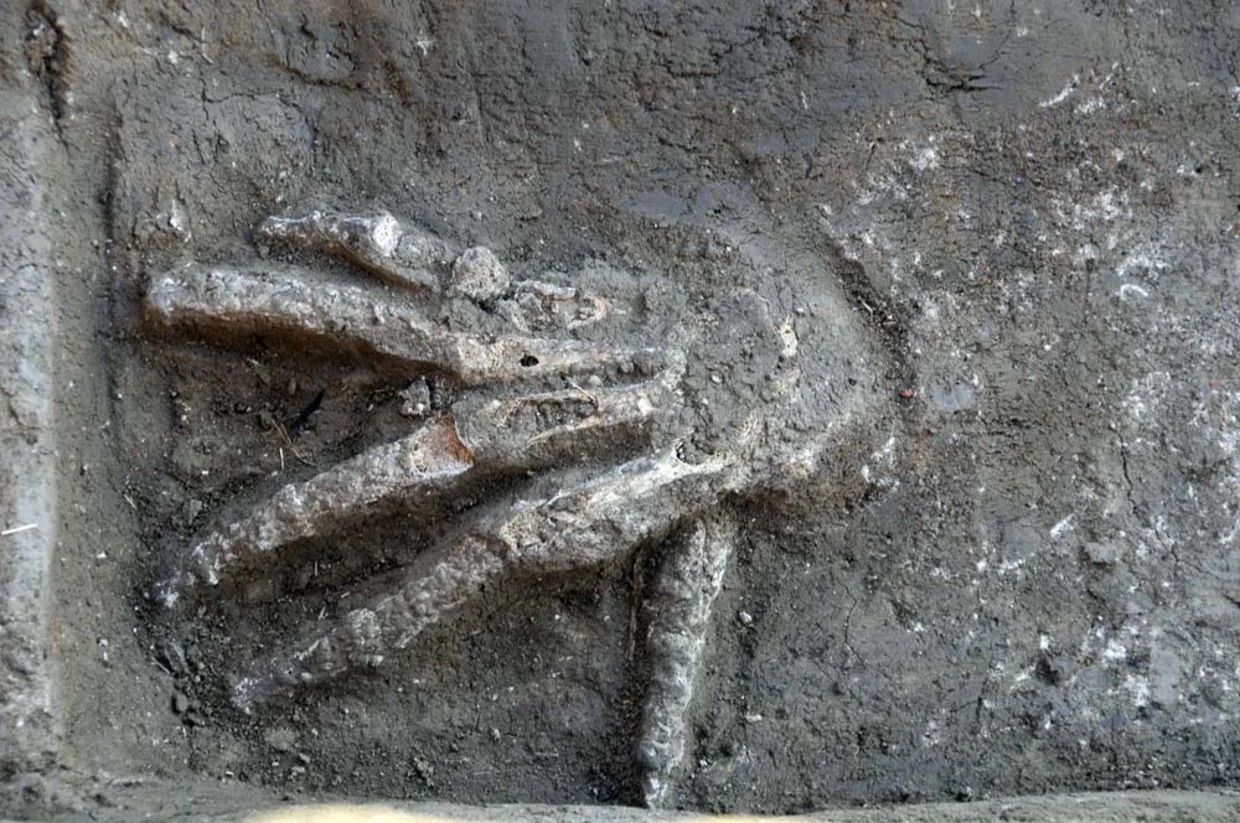 A photograph showing a severed hand in an ancient Egyptian pit. Image Credit: Axel Krause.