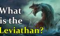 An annotated illustration of the Leaviathan.