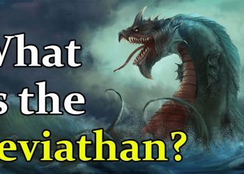 An annotated illustration of the Leaviathan.