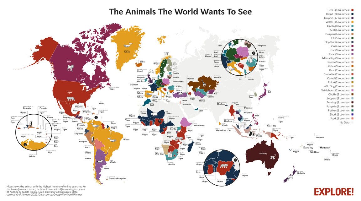 A map showing the favorite animals on Earth. Image Credit: https://www.exploreworldwide.com/blog/wildlife-online-trends-report.