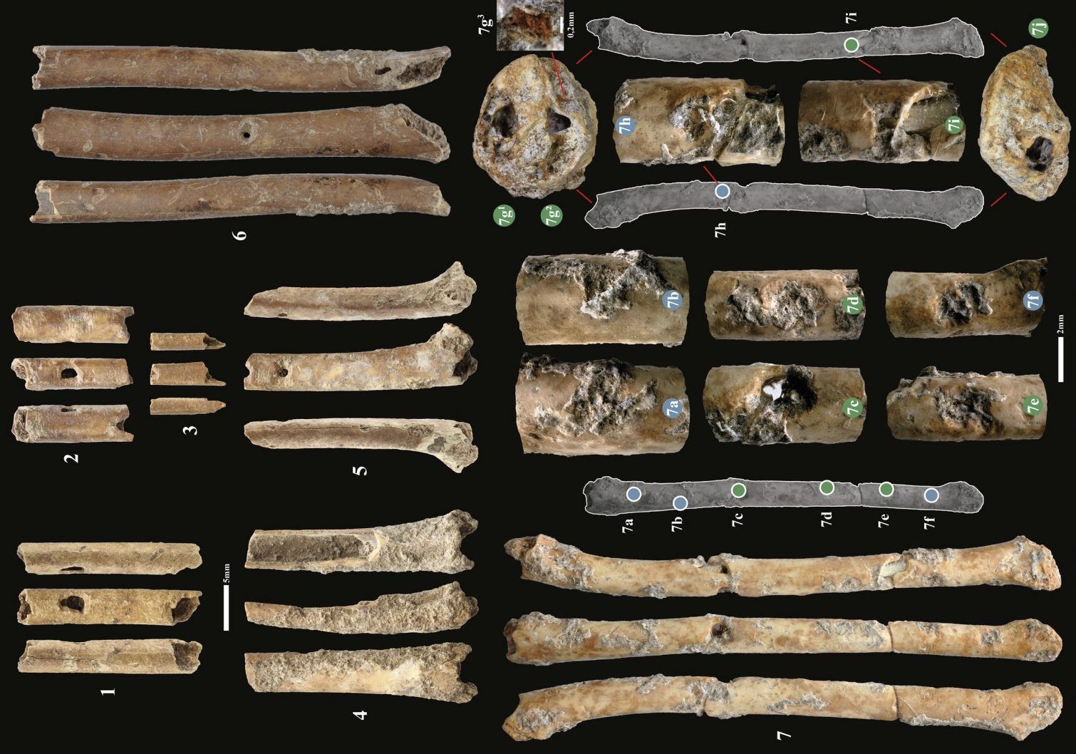 12,000-year-old bone flutes Israel