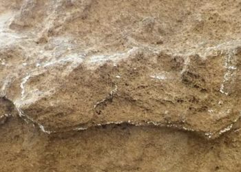Image of the oldest human footprint in the world