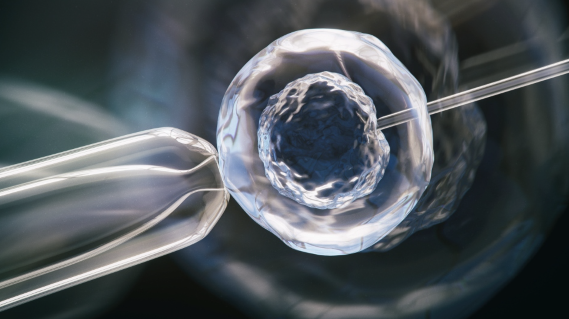 Breakthrough: Scientists Develop Synthetic Human Embryos Without Sperm or Eggs