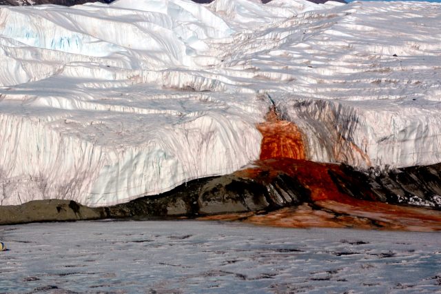 An image of the bloody waterfall in Antarctica. Wikimedia Commons.